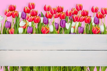 Poster - Composite image of flowers