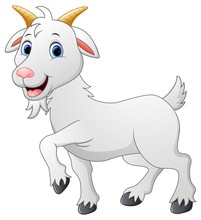 Cartoon Goat Character