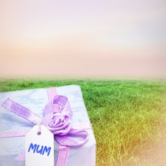 Poster - Composite image of mothers day greeting