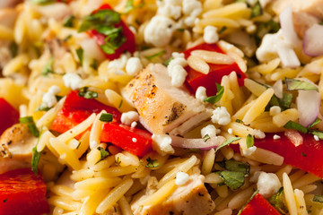 Wall Mural - Homemade Chicken Orzo Salad