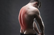 © staras - Man with backache. Pain in the human body. Muscular male body. Handsome bodybuilder posing on gray background