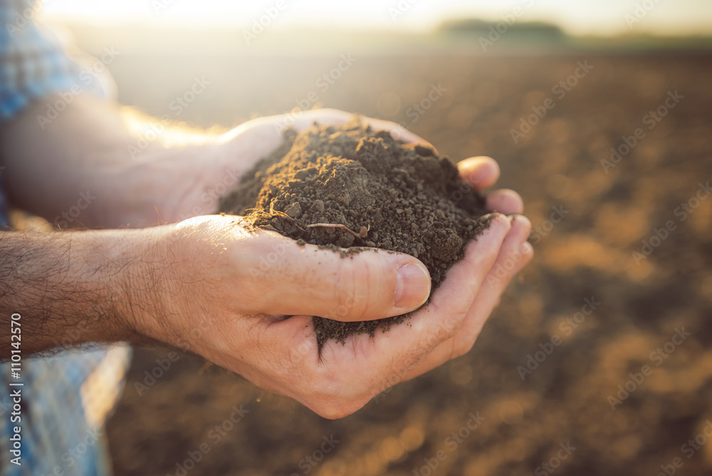Handful of arable soil in hands of responsible farmer - obrazy, fototapety, plakaty 
