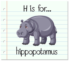 flashcard letter h is for hippopotamus