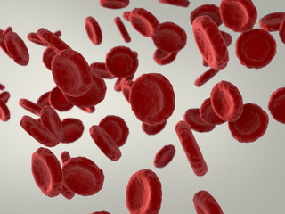 Wall Mural - Blood cells.3D illustration.