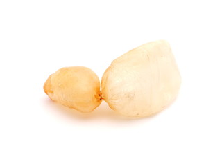 swim bladder of fish on white background