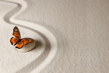 Zen Butterfly