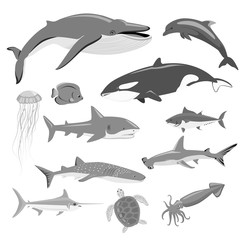 Canvas Print - Marine Fauna Set of Aquatic Animals