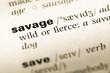 Close up of old English dictionary page with word savage