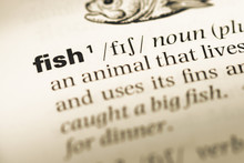 Close Up Of Old English Dictionary Page With Word Fish