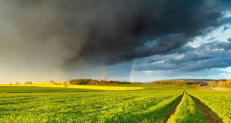 heavy rain and double rainbow over fresh green farm field