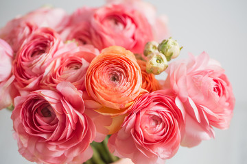 bunch of pale pink ranunculus persian buttercup  light background, wooden surface. glass vase