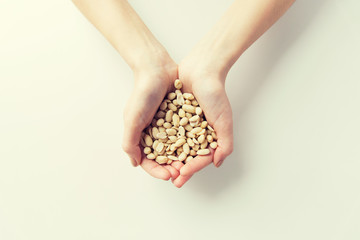 Wall Mural - close up of woman hands holding peeled peanuts