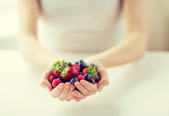 Wall Mural - close up of woman hands holding berries