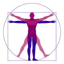 Vitruvian Man, Modern Stylization, Vector