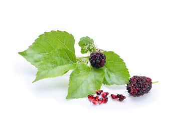 Mulberry with leaf on white background