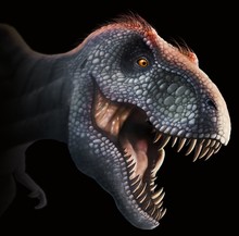 Tyrannosaurus Rex Head, Illustration