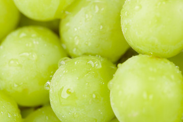 Sticker - yummy green grapes