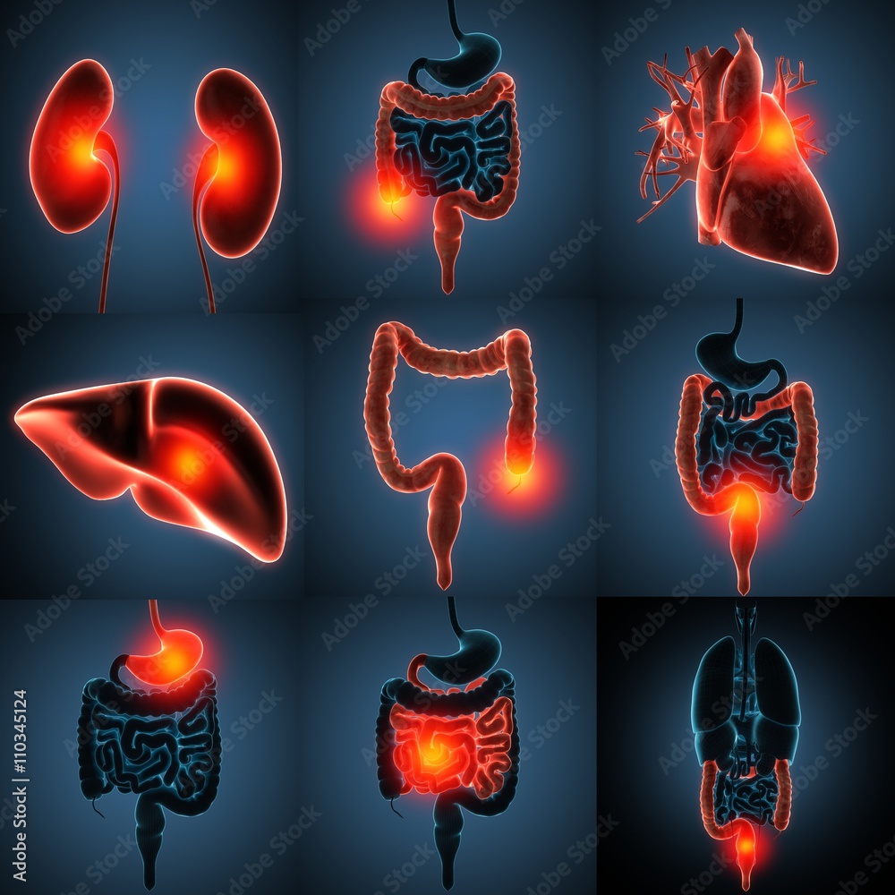 Human Internal Organs Disease Set 3d Rendering Stock Illustration 