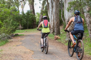 Wall Mural - Rear view of bikers riding on footpath