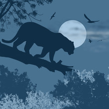 Silhouette View Of Panther On A Tree