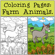 Coloring Pages: Farm Animals. Little cute donkey stands on the g