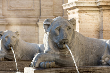 Wall Mural - Lion statue spitting water in The Fountain of Moses in Rome,Italy