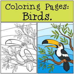 Wall Mural - Coloring Pages: Birds. Little cute toucan.