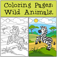 Wall Mural - Coloring Pages: Wild Animals. Little cute zebra.