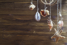 Seashells And Starfish Hanging On The Rope, Vintage Styling