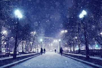 Night winter landscape in the alley of city park