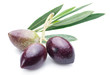 Three fresh olives with leaves on the white background.