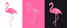 Vector Flamingo Illustration
