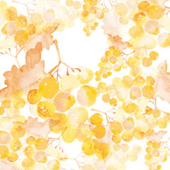 watercolor hand made illustration of grapes