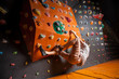 © anatoliy_gleb - Rock climber making difficult motion artificial rock climbing on a rock wall indoors, with climbing shoes. Bouldering