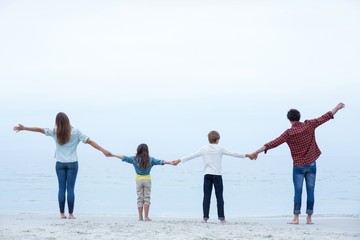 Wall Mural - Family holding hands while standing at sea shore