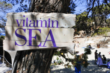 Sign With The Text Vitamin Sea On The Beach