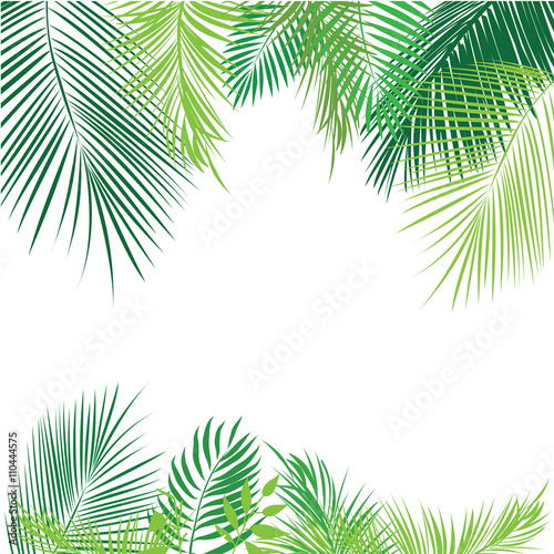 Fototapeta liście  tropikalna-dzungla-tlo-z-palma-i-liscmi