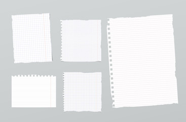 Poster - Pieces of torn white and different size lined, squared notebook paper on gray background