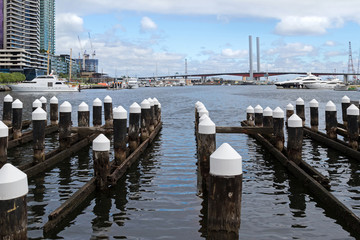 Wooden poles at the Melbourne Docklands in Melbourne, Victoria Harbour in Australia with the view of Bolte Bridge in the background