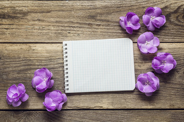 Background with violet flowers and empty notebook for text on ol