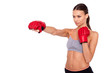 That is real  boxing. Concentrated sporty woman in sportwear and boxing gloves boxing while standing isolated on white background