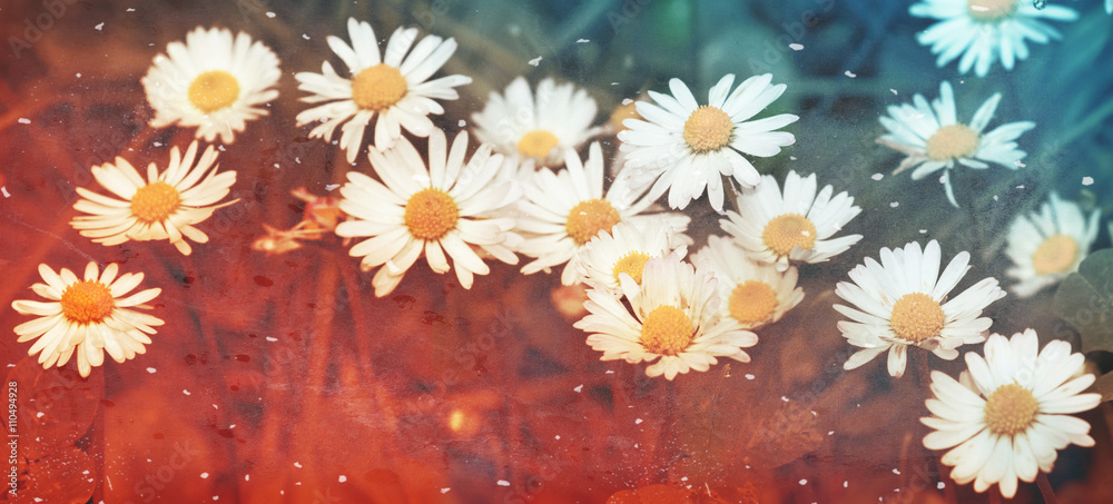 Daisy Vintage Tumblr Background