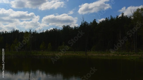 Fotomural Polish landscape. Sunny day on the lake