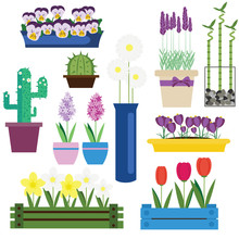 Indoor And Garden Flowers In Pots Vector Set