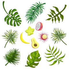 Sticker - Tropical Leaves And Fruits 