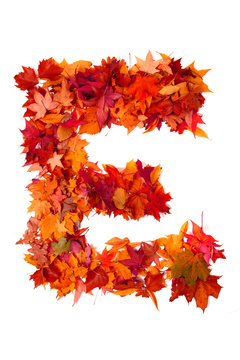 alphabet sign from autumn leaf