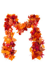 Wall Mural - alphabet sign from autumn leaf