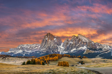 Wall Mural - autumn morning in mountain