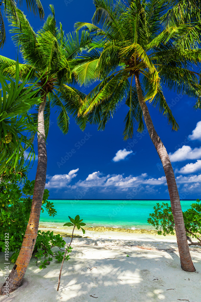 Two palm trees framing a beach entrance to tropical blue lagoon - obrazy, fototapety, plakaty 