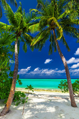 Wall Mural - two palm trees framing a beach entrance to tropical blue lagoon